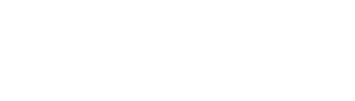 Panal Sistemico